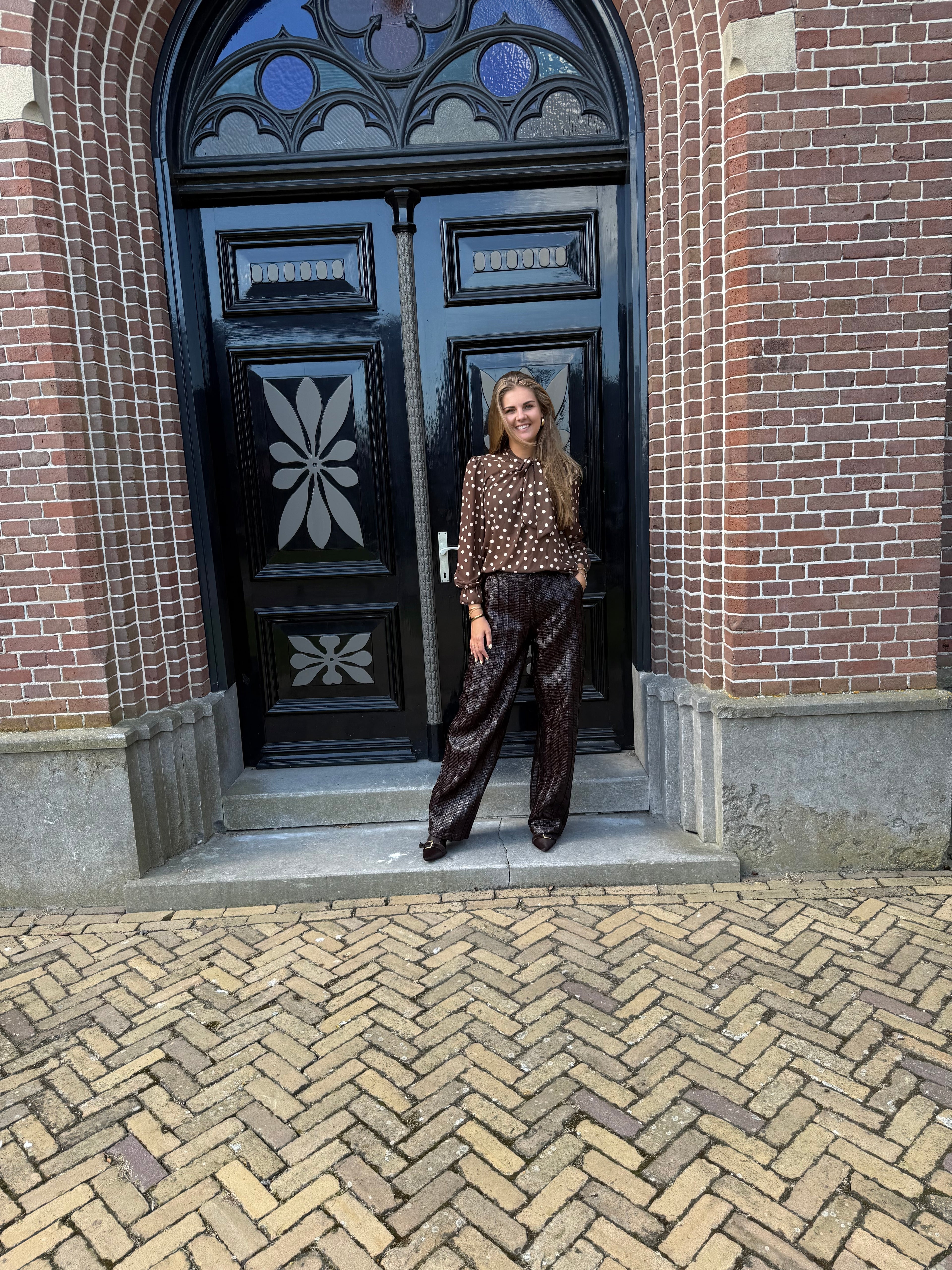MVD Blouse met Strik & Polkadot Bruin