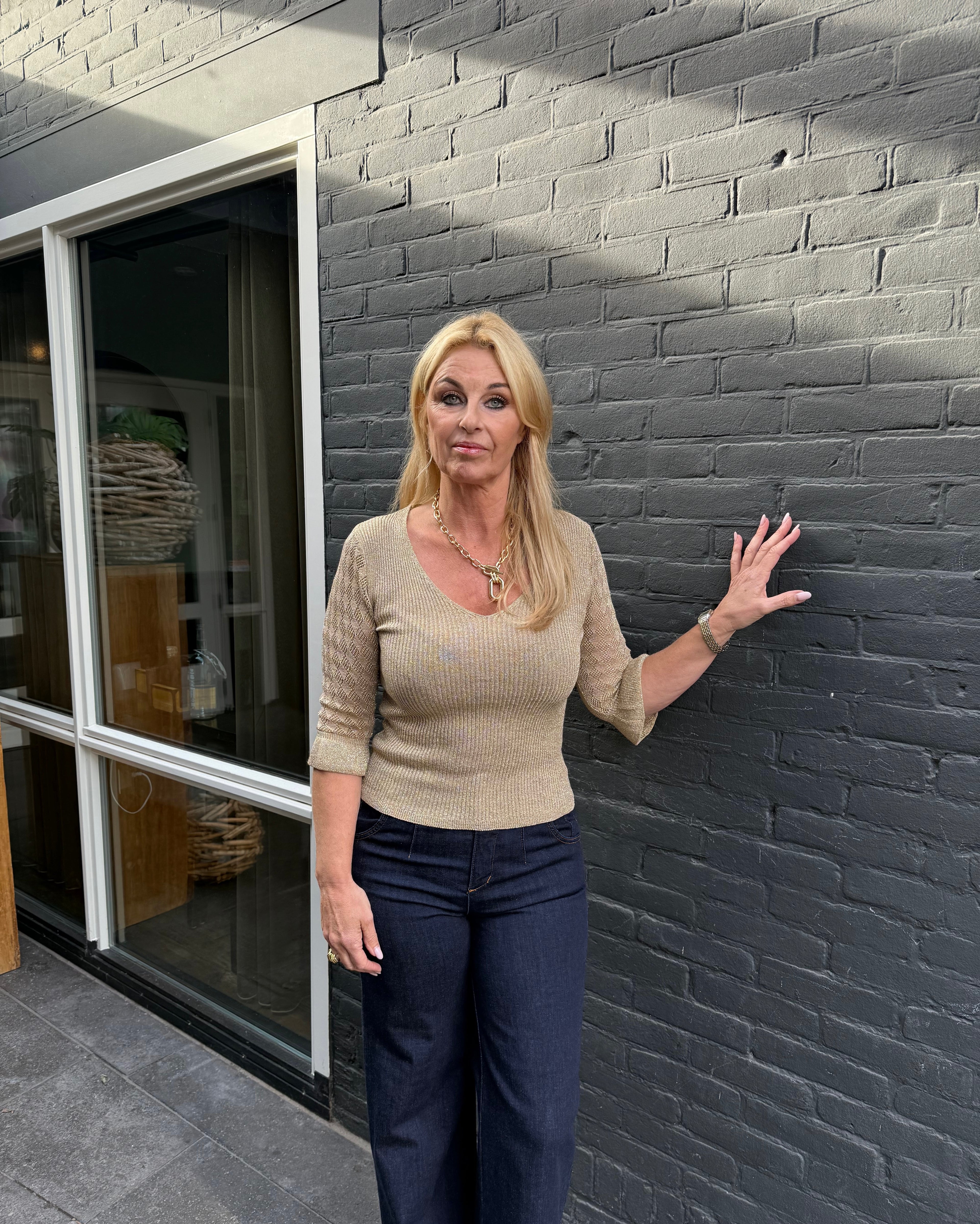 Rinascimento Gold Lurex v-hals top