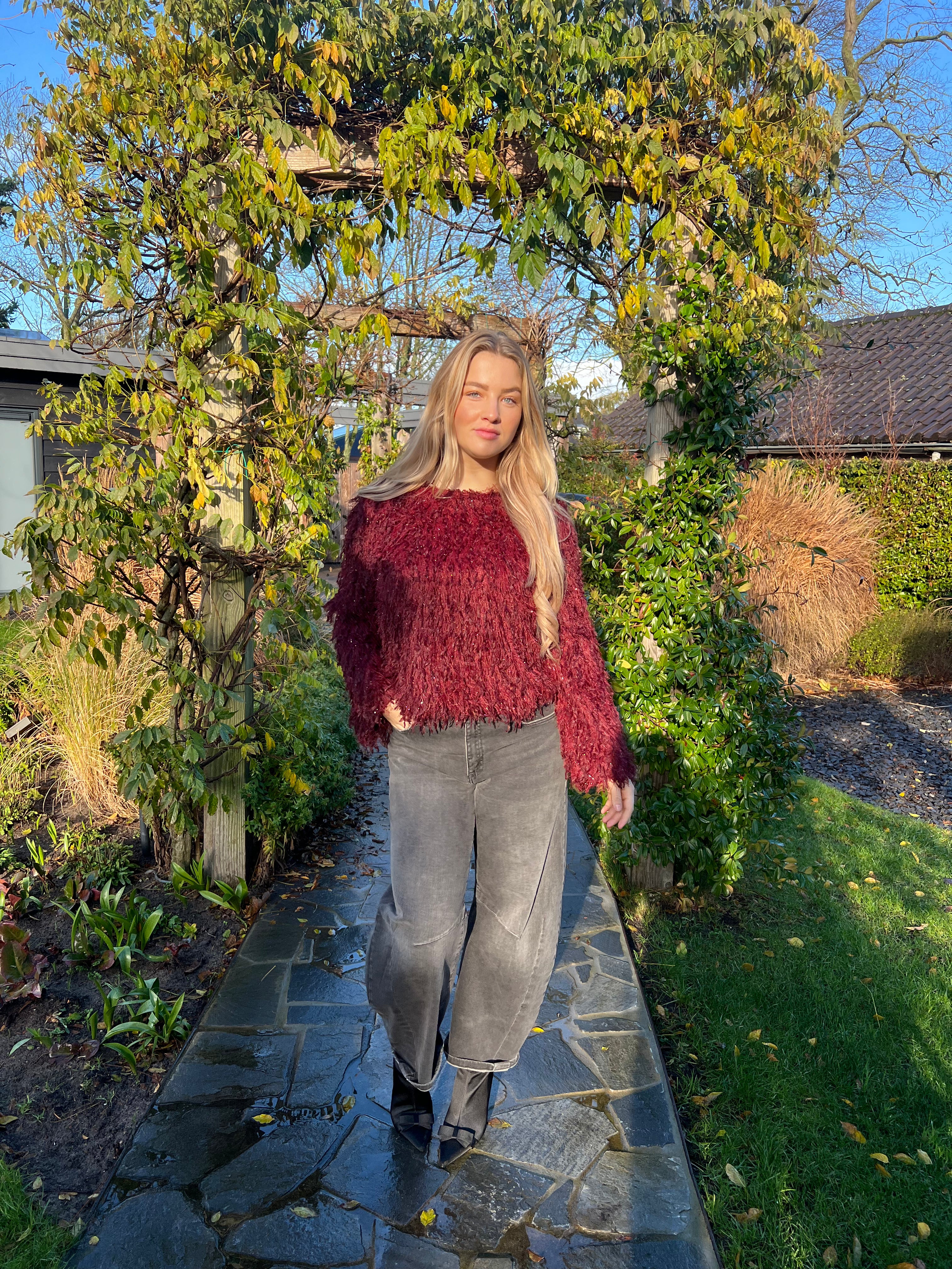 MVD Clothes Bordeaux top met glitter