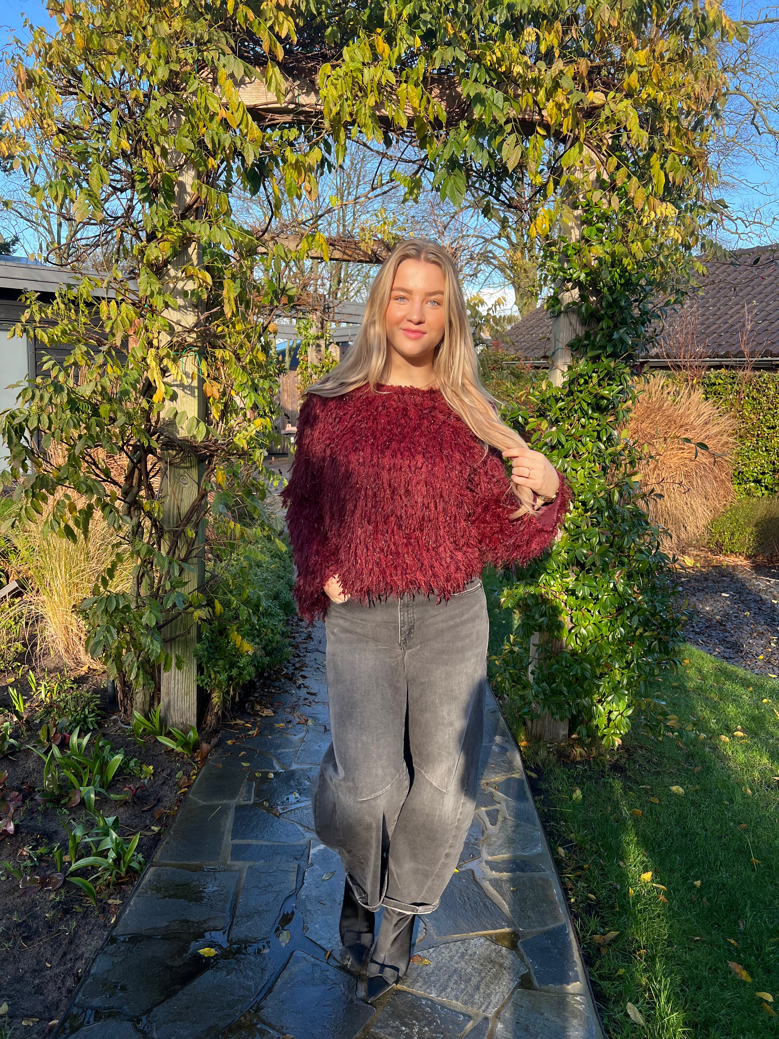 MVD Clothes Bordeaux top met glitter