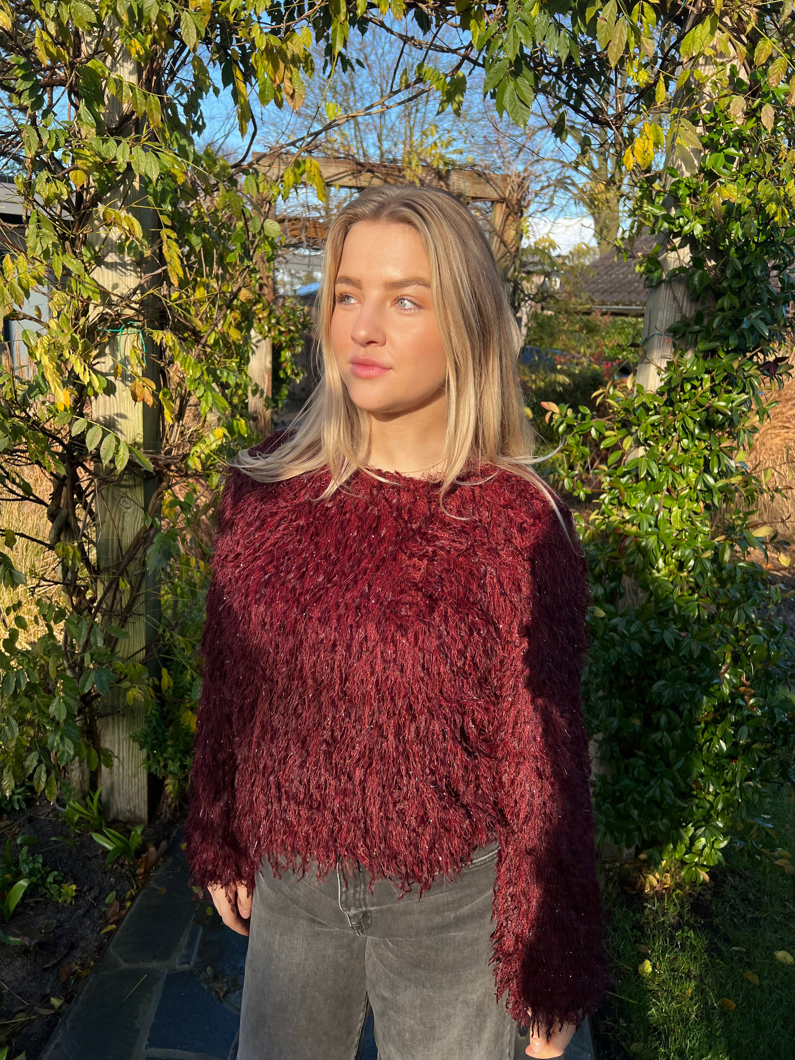 MVD Clothes Bordeaux top met glitter