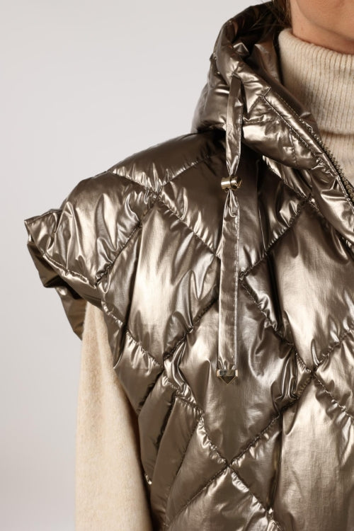 Nukus Willow Jacket metallic
