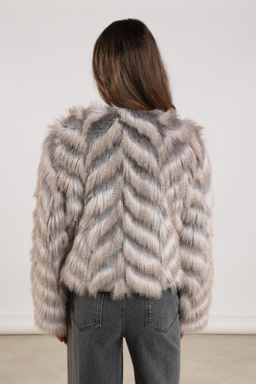 Nukus Lori Jacket Zigzag