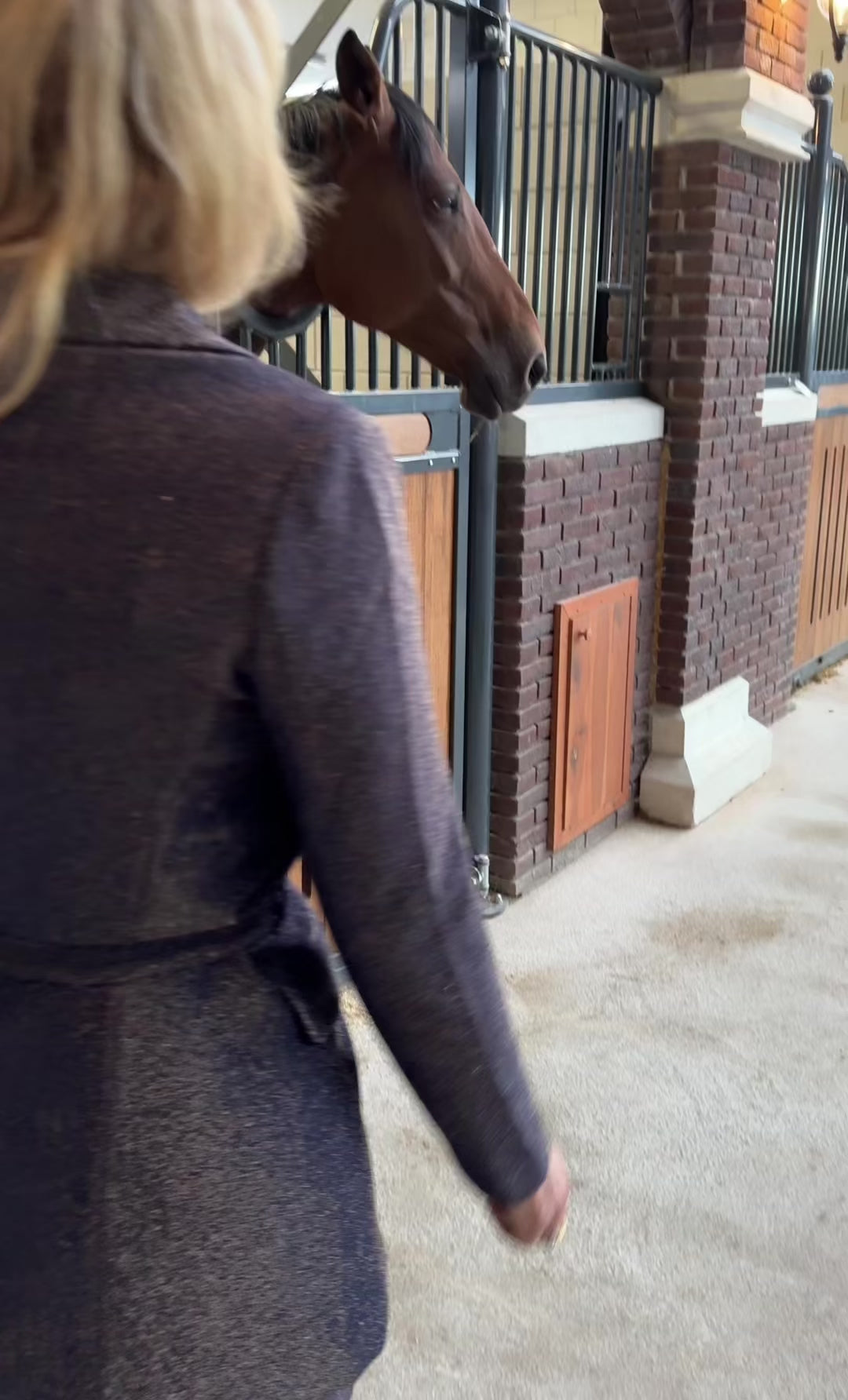 Accentil Christa blazer navy glam